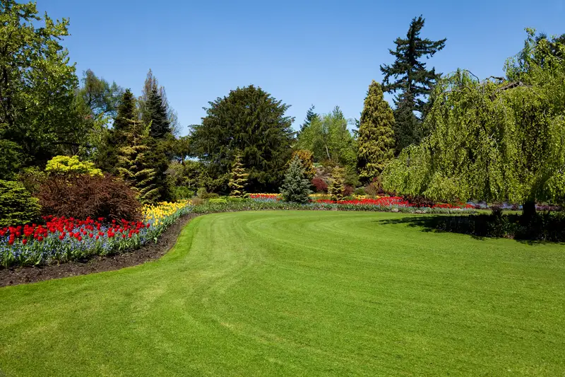 Lawn Aeration by Chips Clips Lawncare MN
